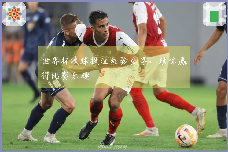 世界杯滚球投注经验分享，助你赢得比赛乐趣