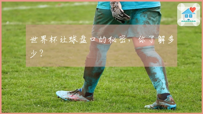 世界杯让球盘口的秘密，你了解多少？