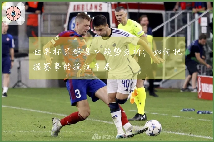 世界杯买球盘口趋势分析：如何把握赛事的投注节奏