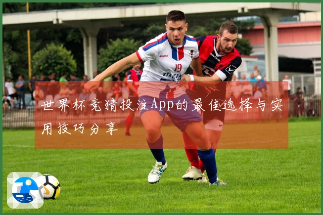 世界杯竞猜投注App的最佳选择与实用技巧分享
